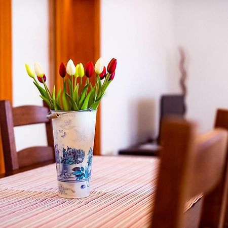 Apartmani Marina Klek Buitenkant foto